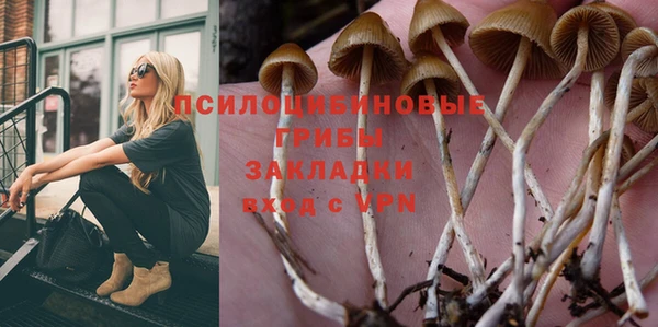 соль ск Алзамай