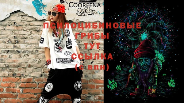 эйфоретик Алексин